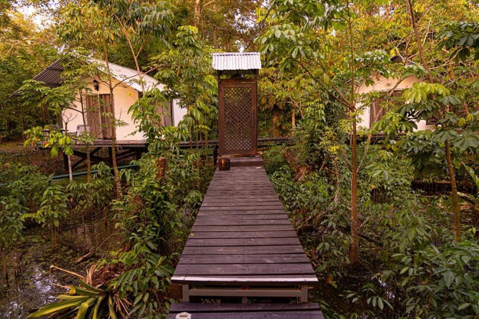 Dreamcatcher Eco Lodge (Adults Only) Rio Dulce Town Buitenkant foto