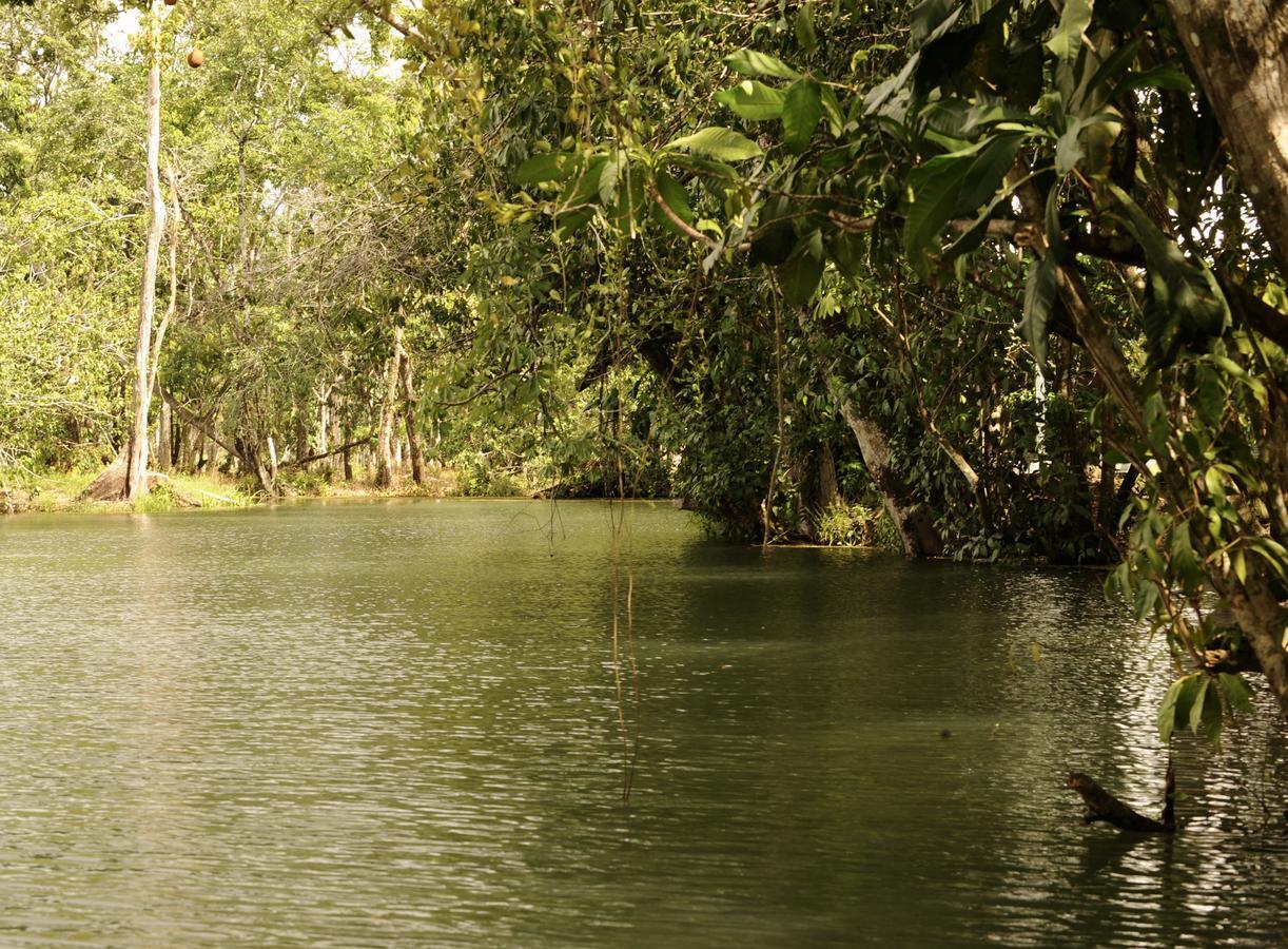 Dreamcatcher Eco Lodge (Adults Only) Rio Dulce Town Buitenkant foto